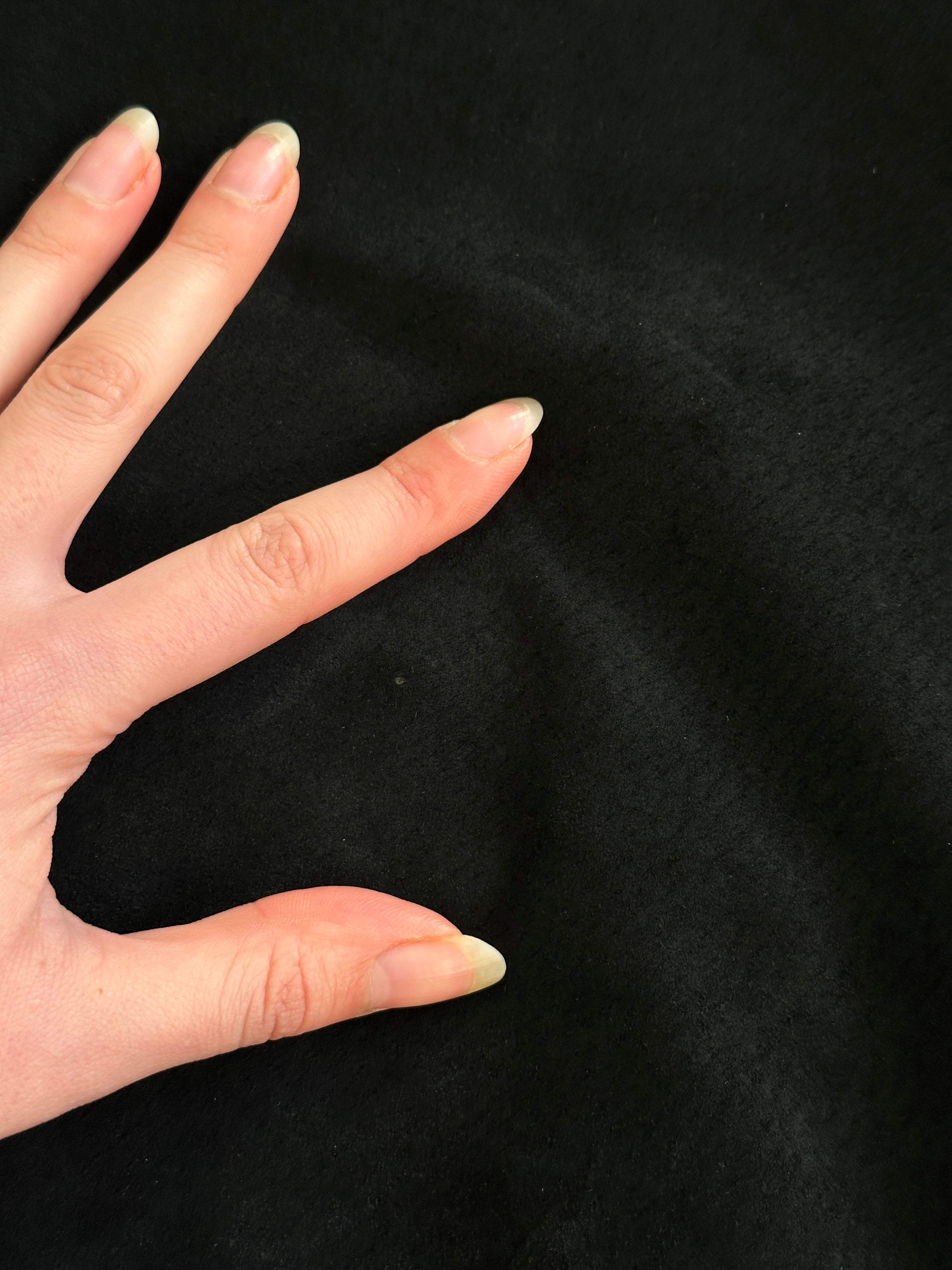 Pierre Cardin Suede Jacket - XXL - SYLK