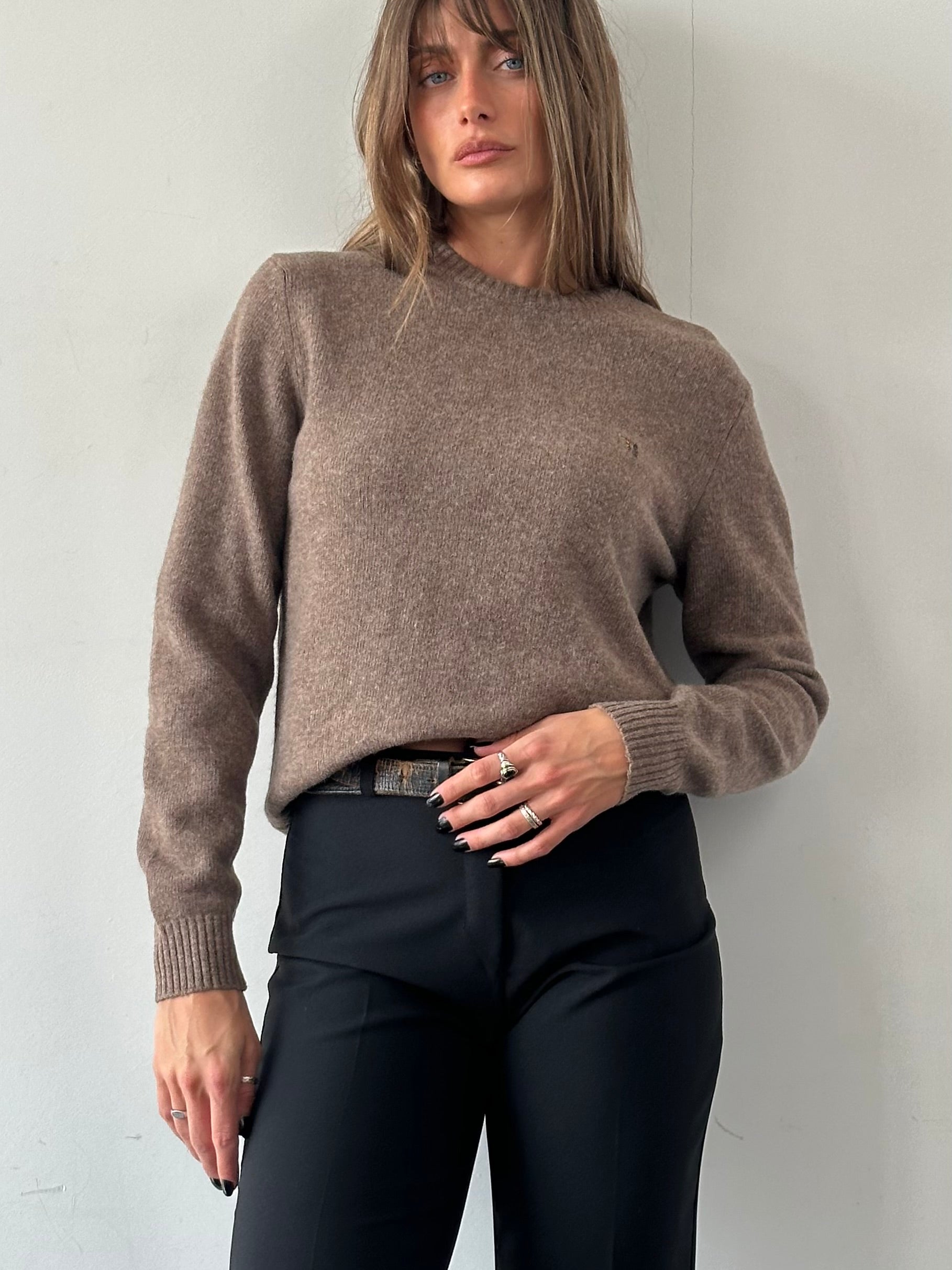 Trussardi wool crew neck jumper in size M, featuring a classic design and soft knit fabric on a plain background.