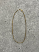 Pierre Cardin Gold Plated Necklace - SYLK